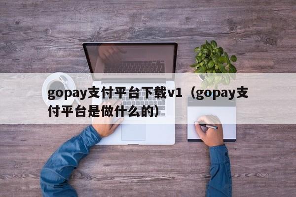 gopay支付平台下载v1（gopay支付平台是做什么的）-第1张图片-科灵网