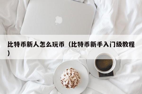 比特币新人怎么玩币（比特币新手入门级教程）-第1张图片-科灵网