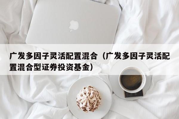 广发多因子灵活配置混合（广发多因子灵活配置混合型证券投资基金）-第1张图片-科灵网