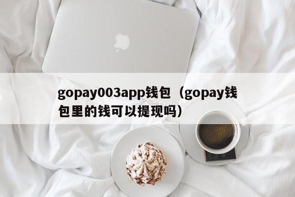 gopay003app钱包（gopay钱包里的钱可以提现吗）-第1张图片-科灵网