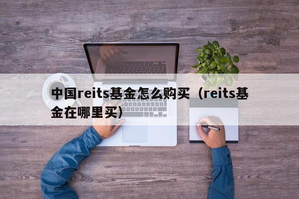 中国reits基金怎么购买（reits基金在哪里买）-第1张图片-科灵网