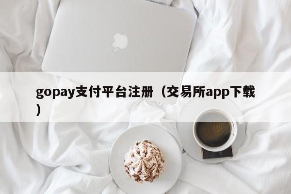 gopay支付平台注册（交易所app下载）-第1张图片-科灵网