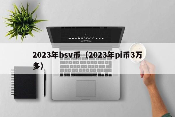 2023年bsv币（2023年pi币3万多）-第1张图片-科灵网