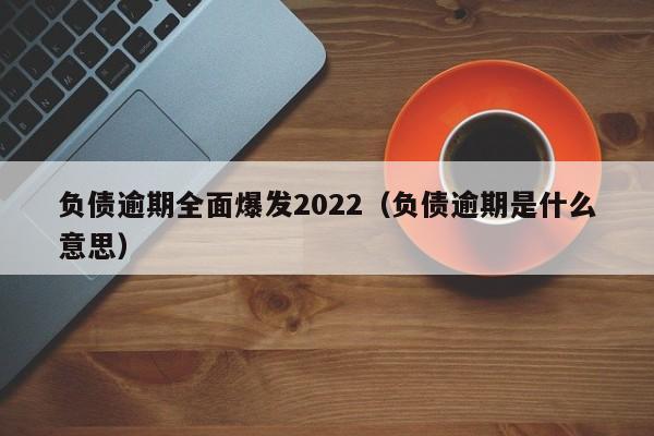 负债逾期全面爆发2022（负债逾期是什么意思）-第1张图片-科灵网