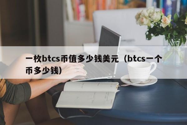 一枚btcs币值多少钱美元（btcs一个币多少钱）-第1张图片-科灵网