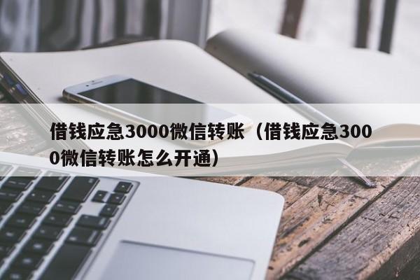 借钱应急3000微信转账（借钱应急3000微信转账怎么开通）-第1张图片-科灵网