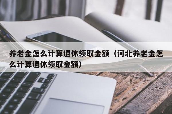 养老金怎么计算退休领取金额（河北养老金怎么计算退休领取金额）-第1张图片-科灵网