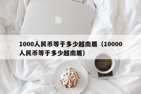 1000人民幣等於多少越南盾(10000人民幣等於多少越南盾)-第1張圖片-科