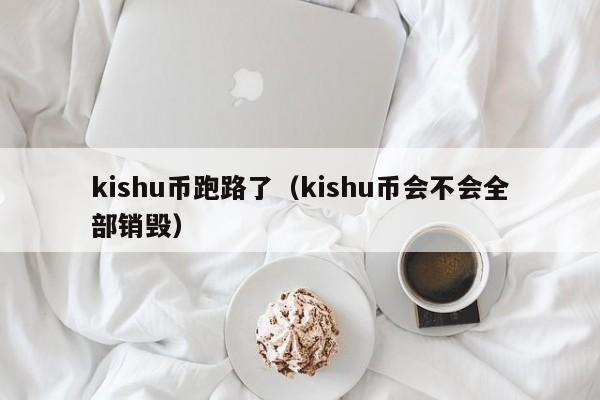 kishu币跑路了（kishu币会不会全部销毁）-第1张图片-科灵网