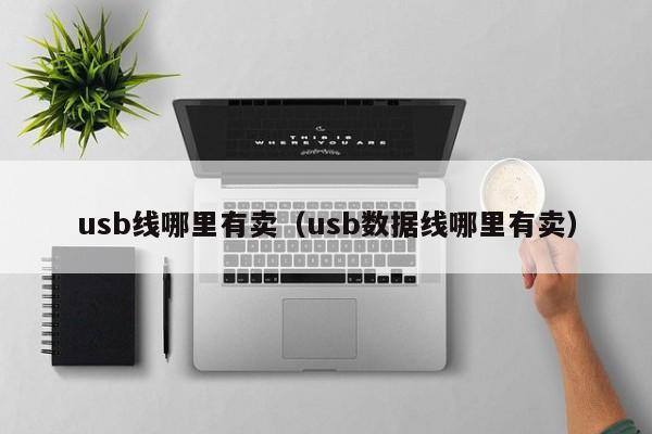 usb线哪里有卖（usb数据线哪里有卖）-第1张图片-科灵网