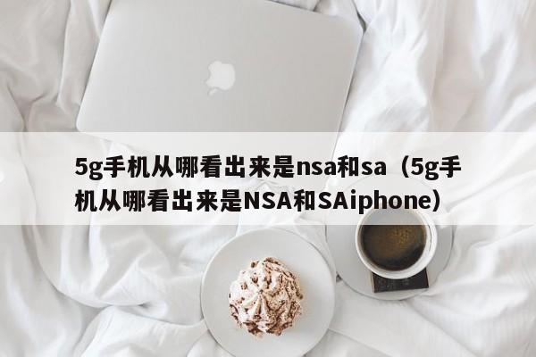 5g手机从哪看出来是nsa和sa（5g手机从哪看出来是NSA和SAiphone）-第1张图片-科灵网