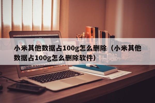 小米其他数据占100g怎么删除（小米其他数据占100g怎么删除软件）-第1张图片-科灵网