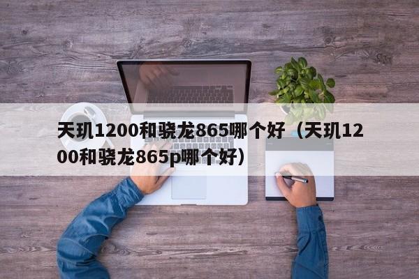 天玑1200和骁龙865哪个好（天玑1200和骁龙865p哪个好）-第1张图片-科灵网