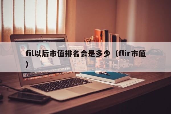 fil以后市值排名会是多少（flir市值）-第1张图片-科灵网