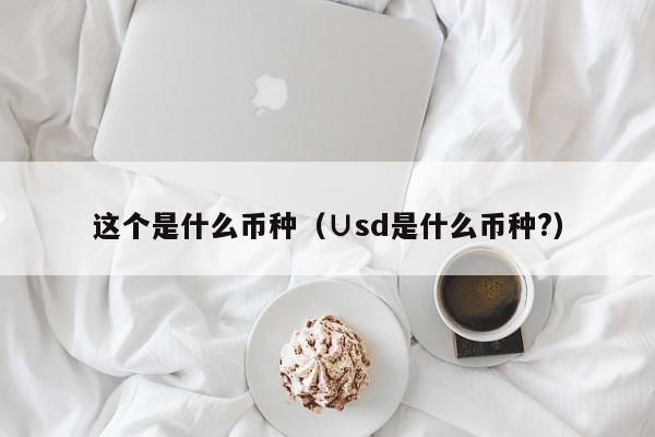 这个是什么币种（∪sd是什么币种?）-第1张图片-科灵网