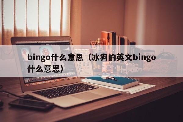 bingo什么意思（冰狗的英文bingo什么意思）-第1张图片-科灵网