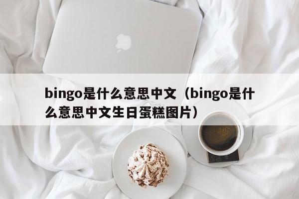 bingo是什么意思中文（bingo是什么意思中文生日蛋糕图片）-第1张图片-科灵网