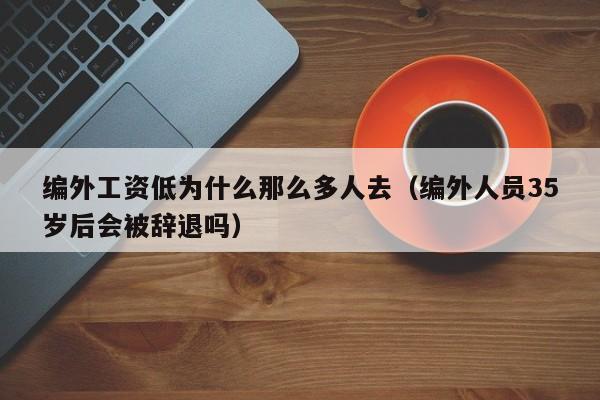 编外工资低为什么那么多人去（编外人员35岁后会被辞退吗）-第1张图片-科灵网