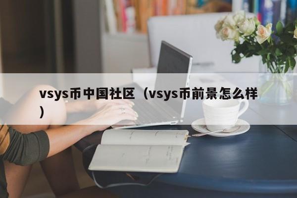 vsys币中国社区（vsys币前景怎么样）-第1张图片-科灵网